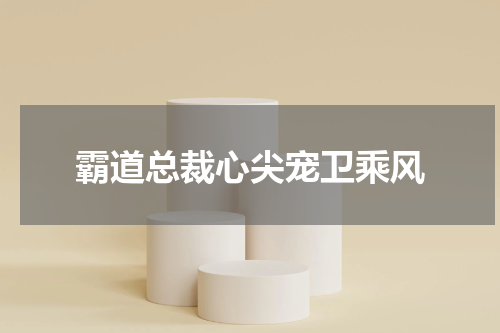 霸道总裁心尖宠卫乘风