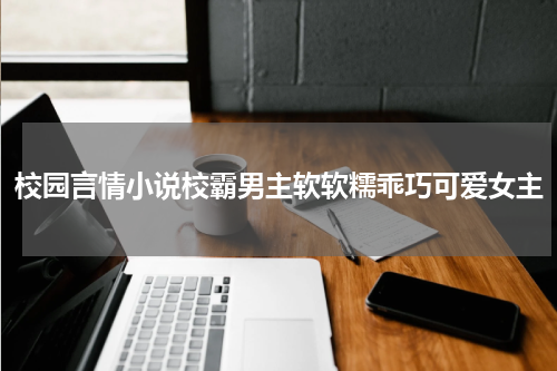校园言情小说校霸男主软软糯乖巧可爱女主