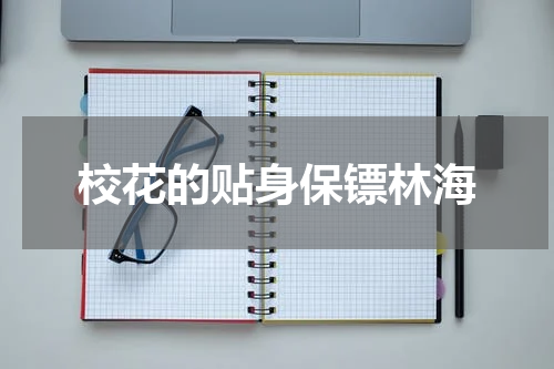 校花的贴身保镖林海
