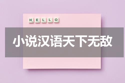 小说汉语天下无敌