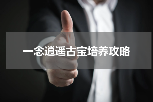 一念逍遥古宝培养攻略