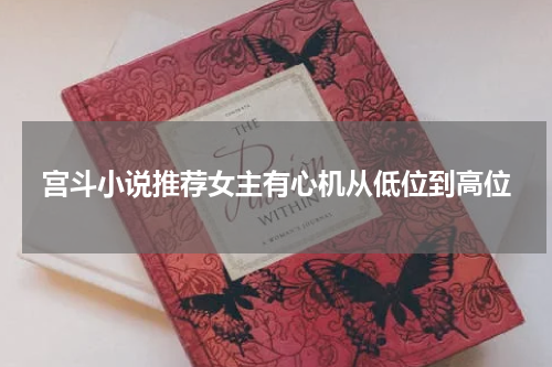 宫斗小说推荐女主有心机从低位到高位