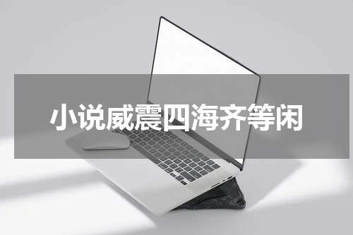 小说威震四海齐等闲