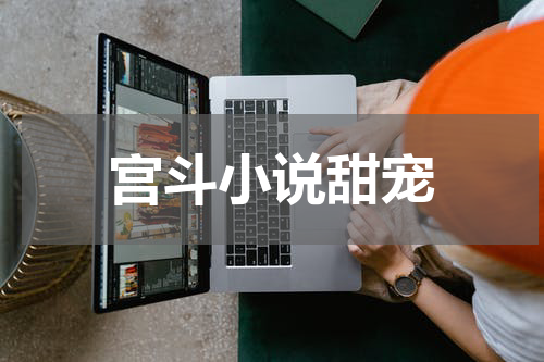 宫斗小说甜宠