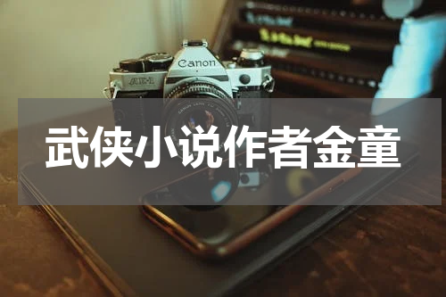 武侠小说作者金童