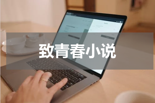 致青春小说