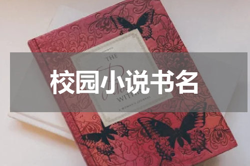 校园小说书名