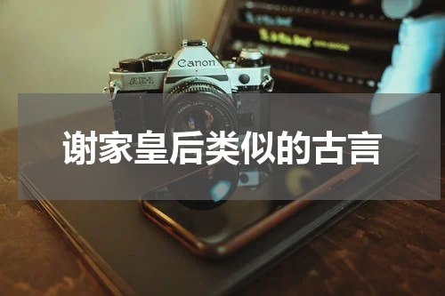谢家皇后类似的古言