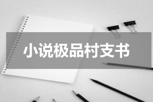 小说极品村支书