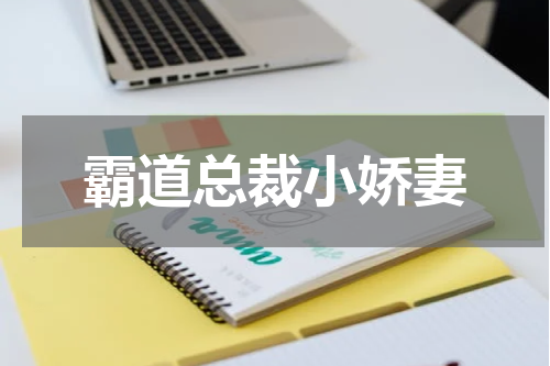 霸道总裁小娇妻