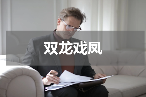 双龙戏凤