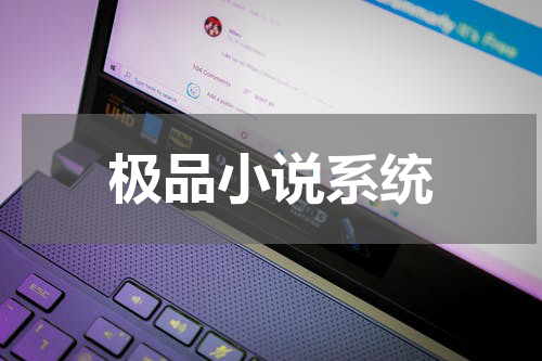 极品小说系统