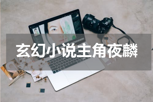 玄幻小说主角夜麟