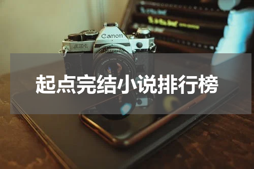 起点完结小说排行榜