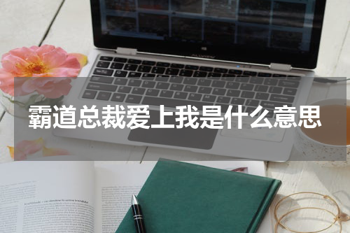 霸道总裁爱上我是什么意思