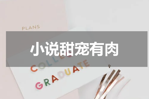 小说甜宠有肉