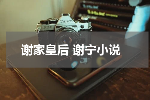 谢家皇后 谢宁小说