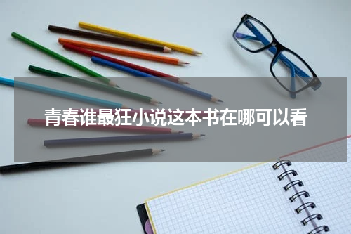 青春谁最狂小说这本书在哪可以看