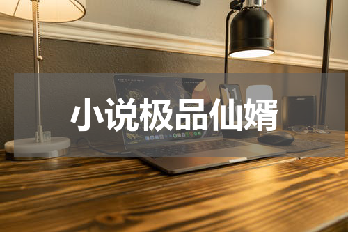 小说极品仙婿