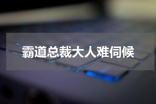 霸道总裁大人难伺候