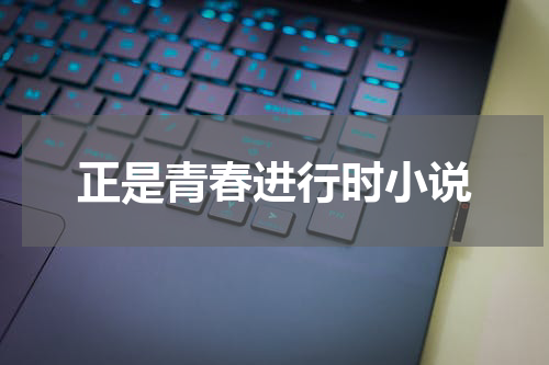 正是青春进行时小说
