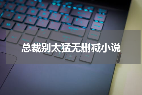 总裁别太猛无删减小说