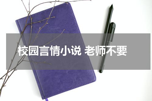 校园言情小说 老师不要