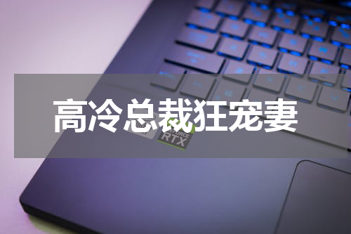 高冷总裁狂宠妻