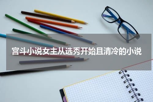 宫斗小说女主从选秀开始且清冷的小说