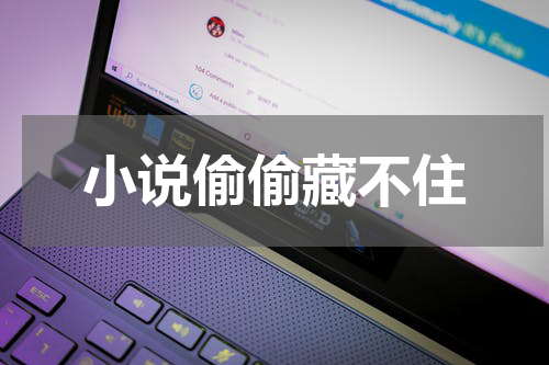 小说偷偷藏不住