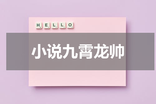 小说九霄龙帅