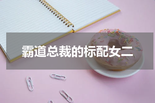 霸道总裁的标配女二