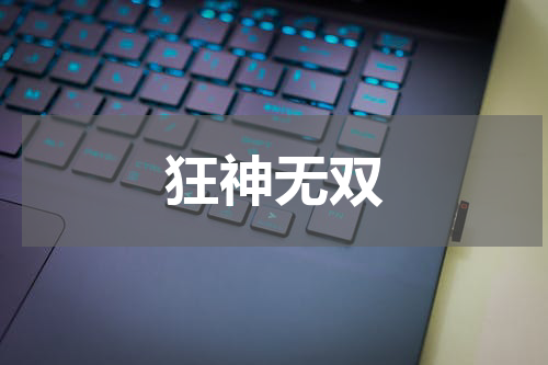 狂神无双