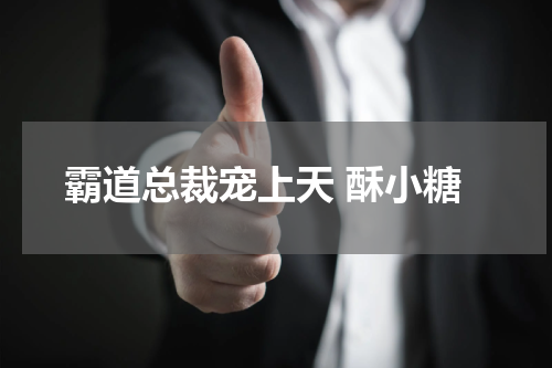 霸道总裁宠上天 酥小糖