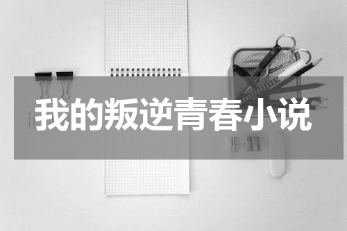 我的叛逆青春小说