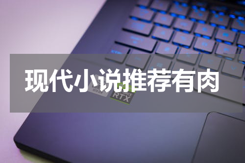 现代小说推荐有肉
