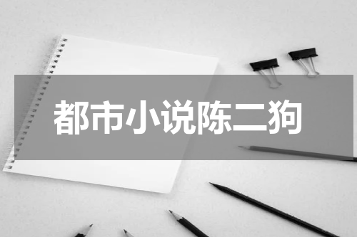 都市小说陈二狗