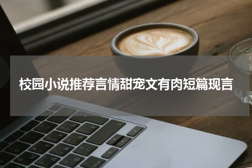 校园小说推荐言情甜宠文有肉短篇现言