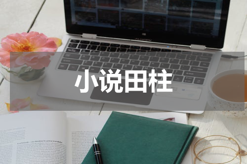 小说田柱