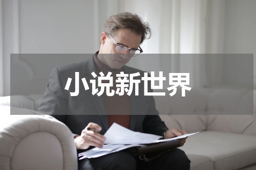 小说新世界