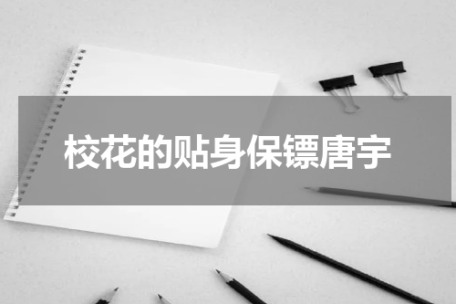 校花的贴身保镖唐宇