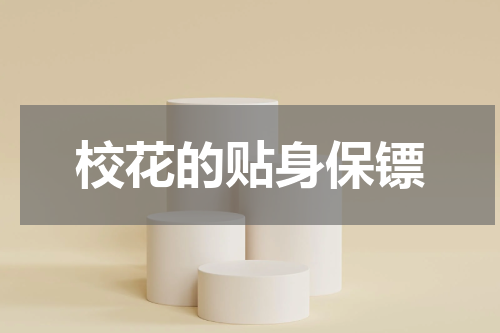 校花的贴身保镖