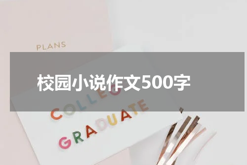 校园小说作文500字