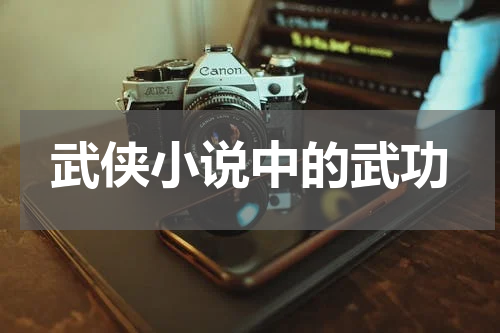 武侠小说中的武功