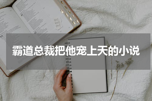 霸道总裁把他宠上天的小说