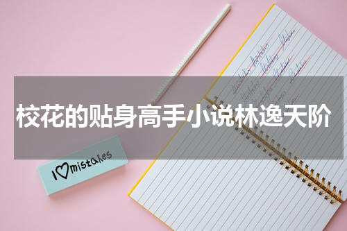校花的贴身高手小说林逸天阶