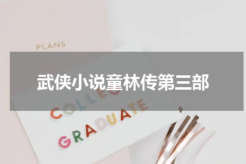 武侠小说童林传第三部