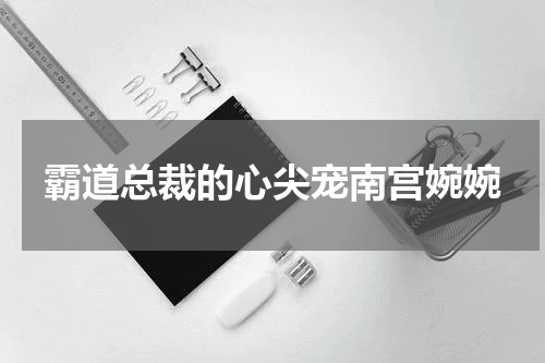 霸道总裁的心尖宠南宫婉婉