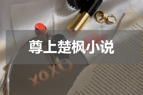 尊上楚枫小说