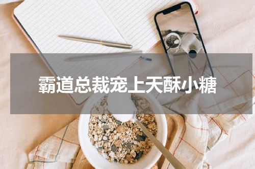 霸道总裁宠上天酥小糖